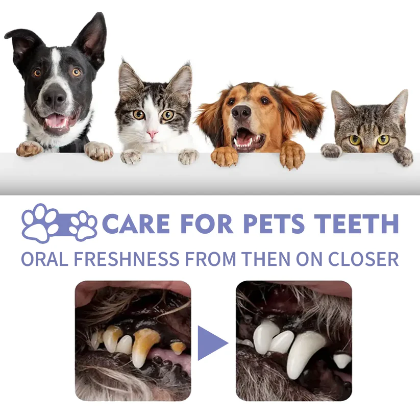 🐾 RISEROOTSX™ Oral Freshness Oral Spray for Dogs & Cats