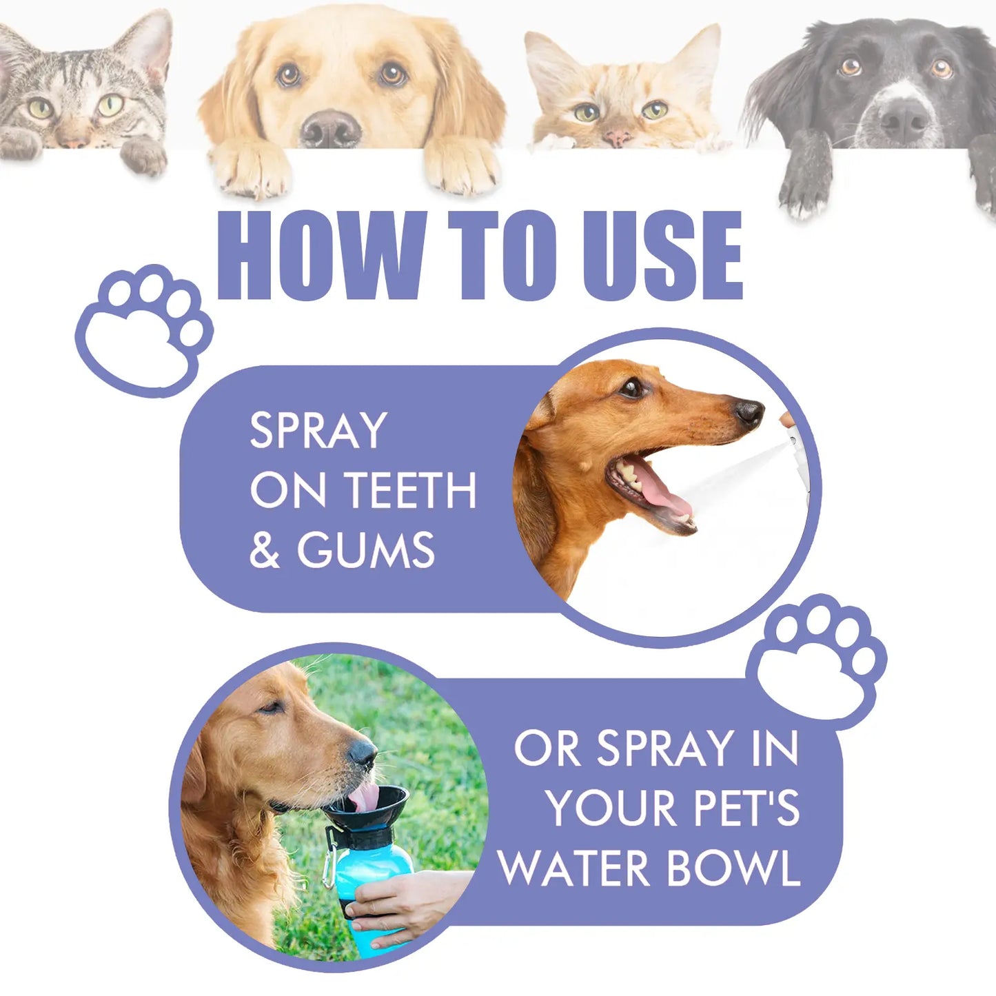 🐾 RISEROOTSX™ Oral Freshness Oral Spray for Dogs & Cats