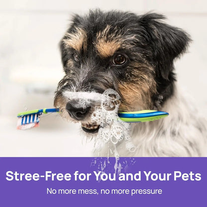 🐾 RISEROOTSX™ Oral Freshness Oral Spray for Dogs & Cats